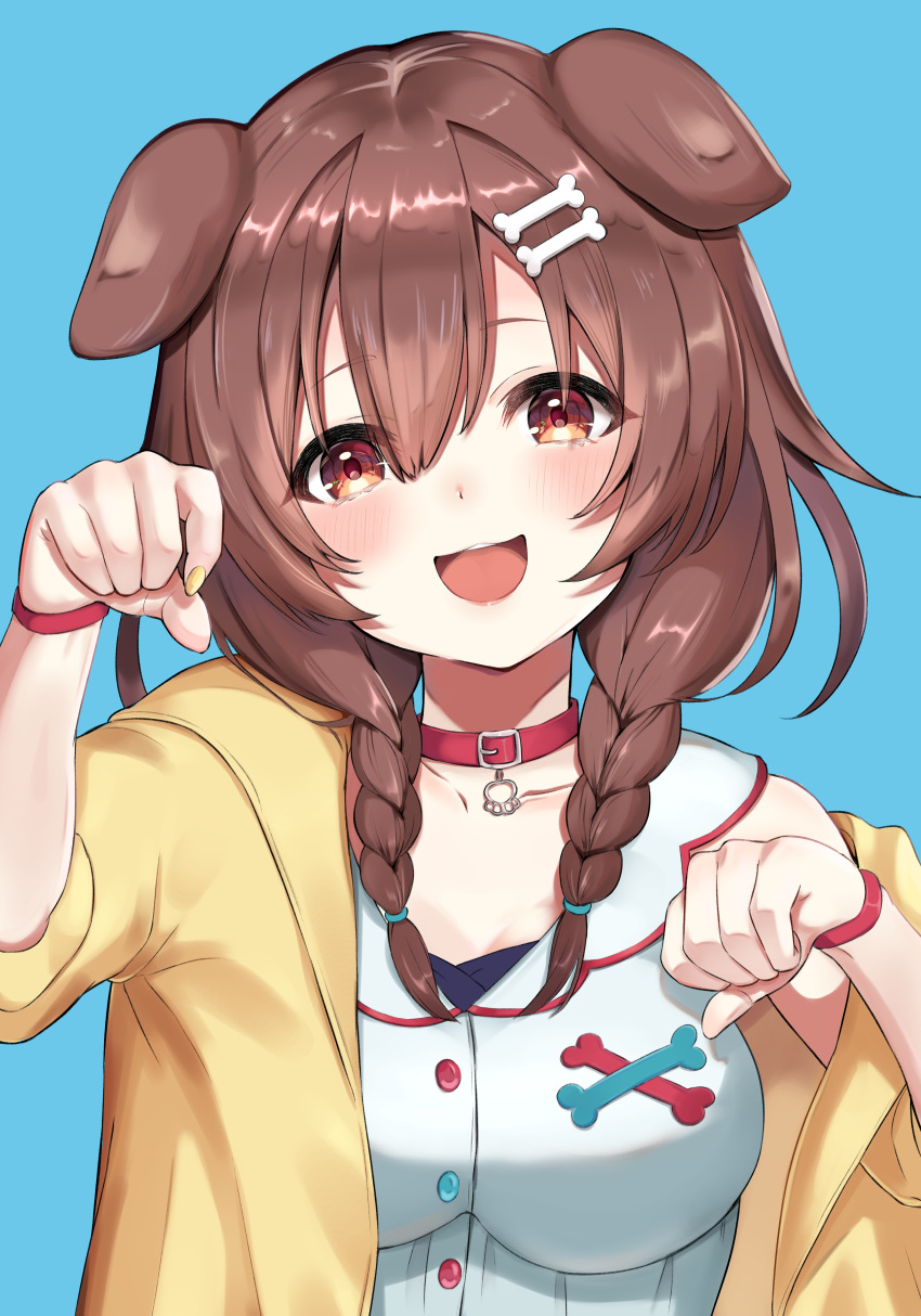 1girl absurdres animal_ears appo_(36786257) bangs blue_background blush bone_hair_ornament braid breasts brown_eyes brown_hair collar collarbone commentary_request dog_collar dog_ears dog_girl dress hair_between_eyes hair_ornament hair_over_shoulder hairclip hands_up highres hololive inugami_korone jacket long_hair looking_at_viewer off-shoulder_jacket open_clothes open_jacket open_mouth paw_pose red_collar simple_background smile solo twin_braids upper_body virtual_youtuber white_dress yellow_jacket
