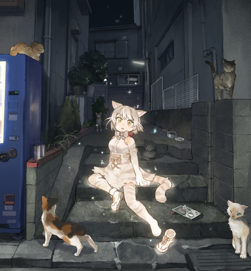1girl alley animal animal_ear_fluff animal_ears arm_support bangs bare_shoulders bow bowtie building bush calico cat cat_(kemono_friends) cat_ears cat_food cat_girl cat_tail collar creature_and_personification dish dot_nose elbow_gloves expressionless extra_ears food footwear_removed gloves glowing head_tilt high-waist_skirt highres kemono_friends light light_particles looking_at_viewer night outdoors parted_lips paws pipes plant pot print_bow print_gloves print_legwear print_neckwear print_skirt sakata_kaname shoe_soles shoes short_hair single_shoe sitting skirt sleeveless solo stairs striped_tail tail thigh-highs two-tone_gloves vending_machine white_footwear yellow_eyes zettai_ryouiki