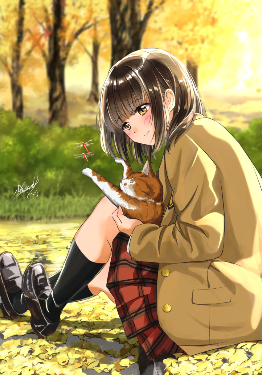 1girl animal autumn autumn_leaves bangs black_footwear black_legwear blazer blurry blurry_background blush brown_eyes brown_hair brown_jacket bug calf_socks cat commentary_request day dragonfly eyebrows_visible_through_hair grass highres holding holding_animal holding_cat insect jacket knee_up knees_up loafers looking_to_the_side on_ground open_clothes open_jacket original outdoors plaid plaid_skirt school_uniform shoes short_hair signature sitting sitting_on_ground skirt smile solo soragane_(banisinngurei)