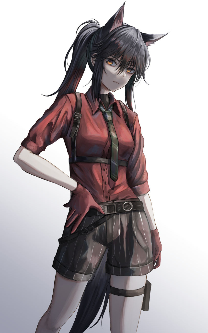 1girl absurdres animal_ears arknights arm_at_side bangs belt belt_buckle black_hair black_undershirt breasts brown_belt brown_necktie brown_shorts buckle collared_shirt commentary contrapposto dress_shirt eyebrows_behind_hair frown gloves grey_background hand_on_hip head_tilt highres kuro_beyan leather_strap long_bangs long_hair looking_at_viewer medium_breasts necktie official_alternate_costume orange_eyes pale_skin pinstripe_shorts ponytail red_gloves red_shirt red_sleeves serious shirt short_shorts shorts sidelocks sleeves_rolled_up solo standing staring tail texas_(arknights) texas_(willpower)_(arknights) thigh_pouch underbust white_background wing_collar wolf_ears wolf_girl wolf_tail