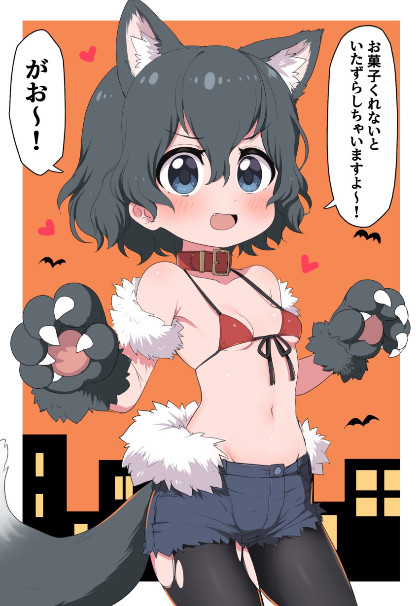 1girl alternate_costume animal_ears bat bikini black_hair blue_eyes blue_shorts blush breasts building commentary cowboy_shot cutoffs fake_animal_ears fake_tail fang front-tie_bikini front-tie_top fur-trimmed_shorts fur_armlet fur_trim gloves halloween_costume heart highres kaban_(kemono_friends) legwear_under_shorts looking_at_viewer navel open_mouth orange_background outside_border pantyhose paw_gloves paws ransusan red_bikini short_hair shorts small_breasts smile solo standing swimsuit tail torn_clothes torn_legwear werewolf wolf_ears wolf_tail