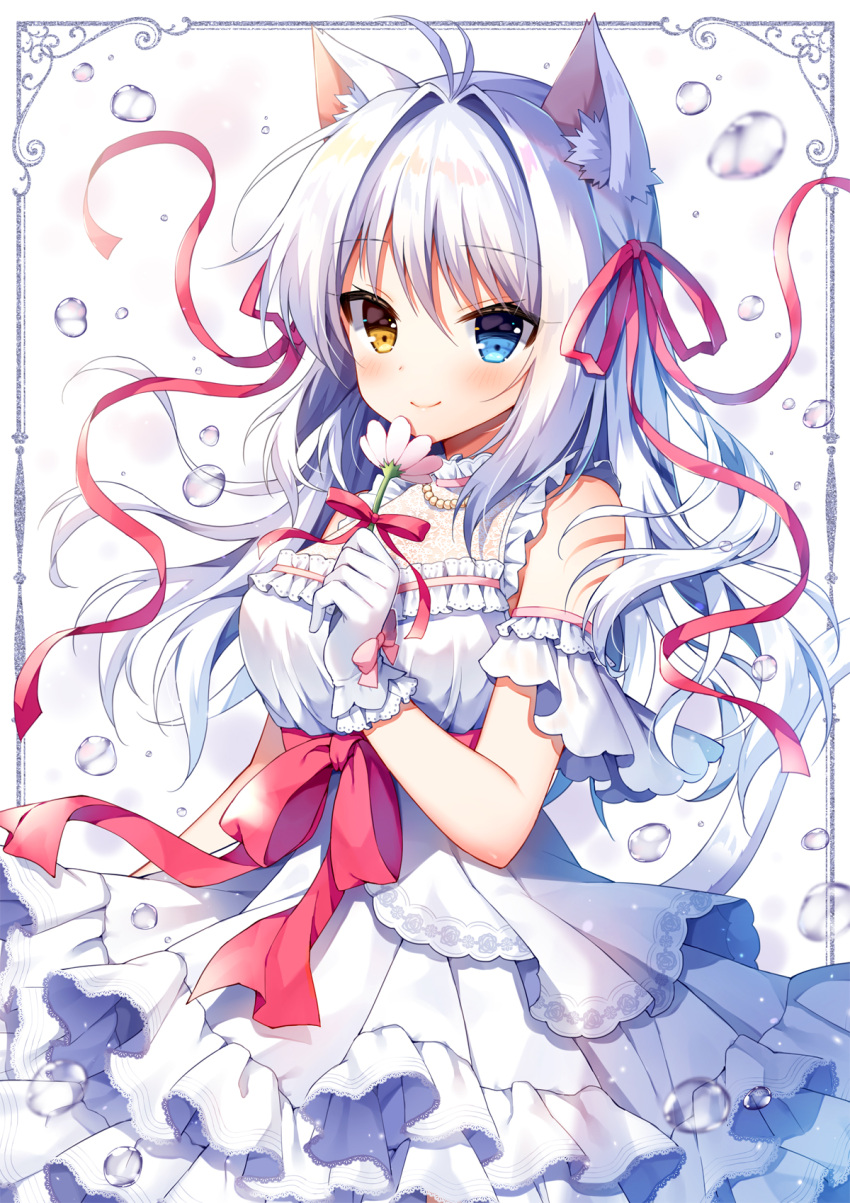 1girl aina_rive animal_ear_fluff animal_ears antenna_hair bangs bare_shoulders blue_eyes blush breasts brown_eyes closed_mouth commentary_request dress eyebrows_visible_through_hair flower frilled_dress frills gloves hair_between_eyes hair_intakes hair_ribbon hand_up heterochromia highres holding holding_flower layered_dress long_hair mauve medium_breasts original pink_flower pleated_dress red_ribbon ribbon sleeveless sleeveless_dress smile solo water_drop white_background white_dress white_gloves white_hair