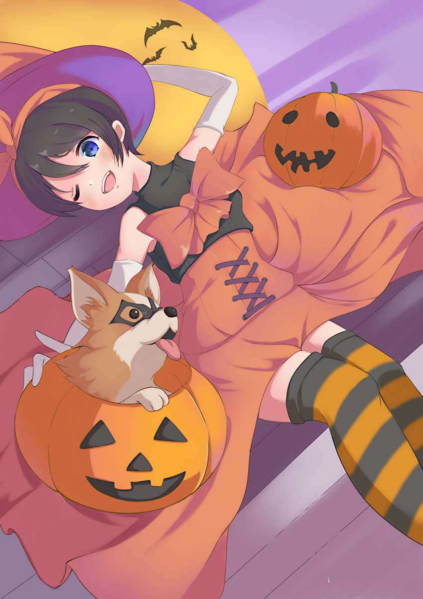 1girl :d absurdres animal bat black_hair blue_eyes chihuahua chikuwa_(yurucamp) dog domino_mask elbow_gloves file112056 gloves halloween hat highres jack-o'-lantern lying mask on_back one_eye_closed open_mouth pumpkin saitou_ena short_hair sleeveless smile striped striped_legwear thigh-highs white_gloves witch_hat yurucamp zettai_ryouiki