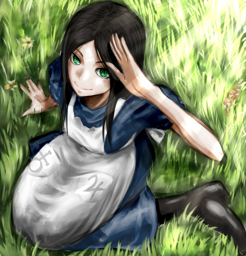1girl alice:_madness_returns alice_(wonderland) alice_in_wonderland american_mcgee's_alice apron black_hair breasts ceramic_man closed_mouth dress green_eyes highres long_hair looking_at_viewer smile solo