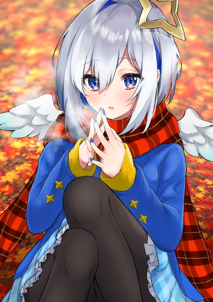 1girl absurdres amane_kanata autumn autumn_leaves black_legwear blue_dress blue_eyes blue_nails breath breathing_on_hands cold commentary_request dress fingernails fingers_together frilled_dress frills halo hands_up haru_(re_ilust) highres hololive knees knees_up leaf looking_at_viewer mini_wings multicolored_hair nail_polish open_mouth pantyhose plaid plaid_scarf scarf silver_hair sitting solo star_halo two-tone_hair virtual_youtuber white_wings wings