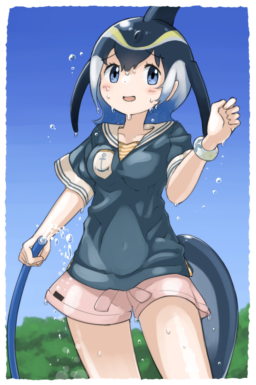 1girl absurdres adapted_costume anchor_symbol black_hair blonde_hair blue_eyes blue_shirt breast_pocket commentary_request common_dolphin_(kemono_friends) cowboy_shot eyebrows_visible_through_hair highres hose iwa_(iwafish) kemono_friends multicolored_hair pocket sailor_collar sailor_shirt shirt short_hair short_shorts short_sleeves shorts solo t-shirt tail water white_hair white_shorts