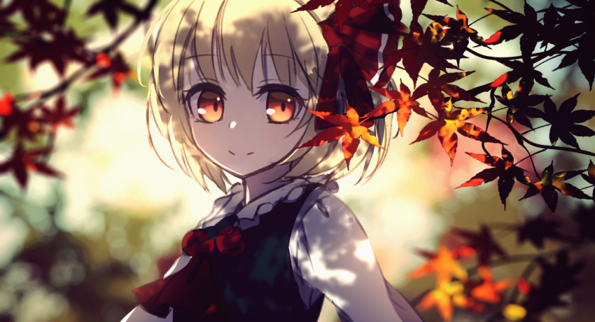1girl autumn autumn_leaves black_vest blonde_hair blurry blurry_background closed_mouth commentary_request dise eyebrows_visible_through_hair hair_ribbon leaf long_sleeves looking_at_viewer maple_leaf necktie outdoors red_eyes red_neckwear red_ribbon ribbon rumia shirt short_hair solo touhou upper_body vest white_shirt