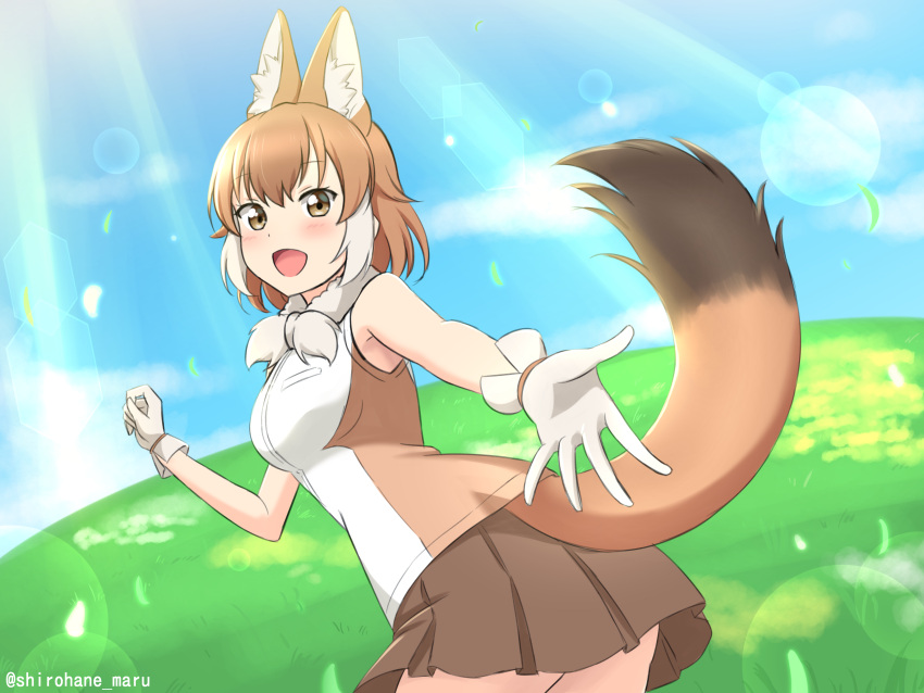 1girl :d absurdres animal_ear_fluff animal_ears bare_arms bare_shoulders blush brown_eyes brown_hair brown_skirt day dhole_(kemono_friends) dog_ears dog_tail extra_ears fur_collar gloves grass happy highres kemono_friends lens_flare multicolored_hair open_mouth outdoors outstretched_arm pleated_skirt reaching_out shiraha_maru shirt skirt sleeveless sleeveless_shirt smile solo sunlight tail twitter_username two-tone_hair white_gloves white_hair