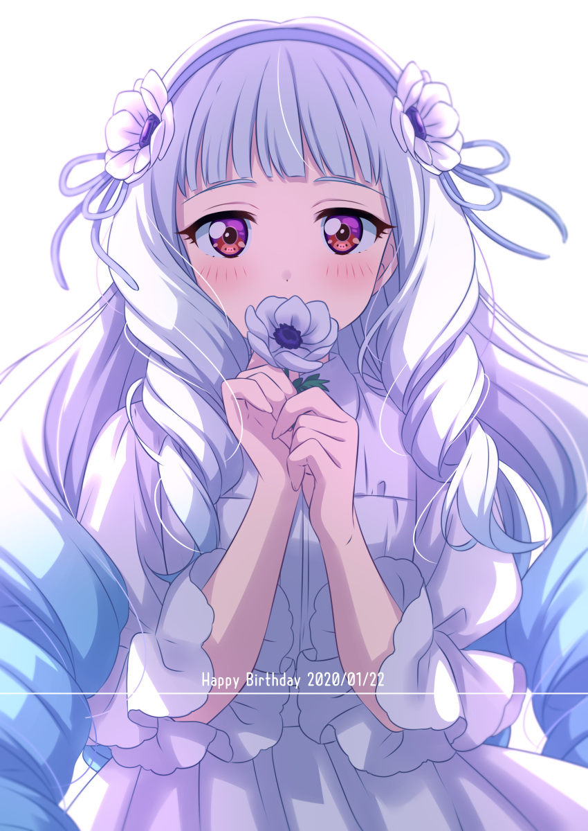 1girl absurdres aikatsu!_(series) aikatsu_stars! blue_hair blue_ribbon blush covered_mouth dated dot_nose dress drill_hair english_text flower flower_over_mouth gradient_hair hair_flower hair_ornament hair_ribbon happy_birthday highres holding holding_flower long_hair looking_at_viewer multicolored_hair red_eyes ribbon sekina shirogane_lilly simple_background solo twin_drills upper_body very_long_hair violet_eyes white_background white_dress white_flower