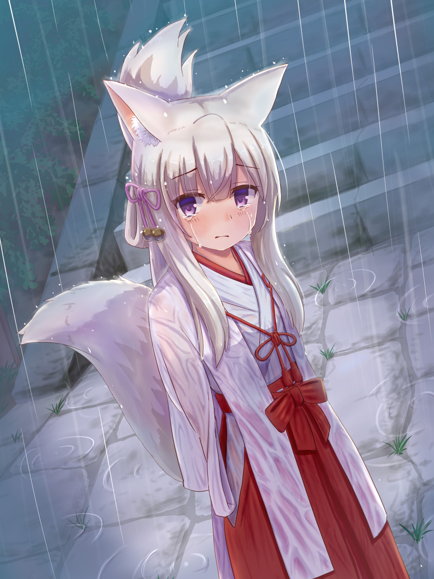 1girl absurdres animal_ear_fluff animal_ears arms_behind_back bangs blush closed_mouth commentary_request crying crying_with_eyes_open eyebrows_visible_through_hair folded_ponytail fox_ears fox_girl fox_tail hair_between_eyes hair_ribbon hakama highres iroha_(iroha_matsurika) japanese_clothes kimono long_sleeves looking_at_viewer miko original outdoors pink_ribbon rain red_hakama ribbon silver_hair solo stairs stone_stairs tail tears violet_eyes wet_kimono white_kimono