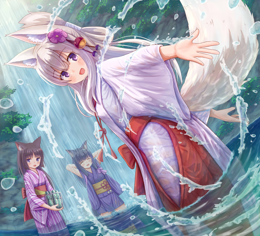 3girls :d ^_^ absurdres animal_ear_fluff animal_ears black_hair blush cat_ears closed_eyes commentary_request flower folded_ponytail fox_ears fox_girl fox_tail hair_flower hair_ornament hakama highres holding iroha_(iroha_matsurika) japanese_clothes kimono long_hair long_sleeves miko multiple_girls obi open_mouth original purple_flower purple_kimono red_hakama sash short_kimono silver_hair smile splashing standing striped striped_kimono tail tail_raised vertical-striped_kimono vertical_stripes very_long_hair water waterfall wet_kimono white_kimono wide_sleeves