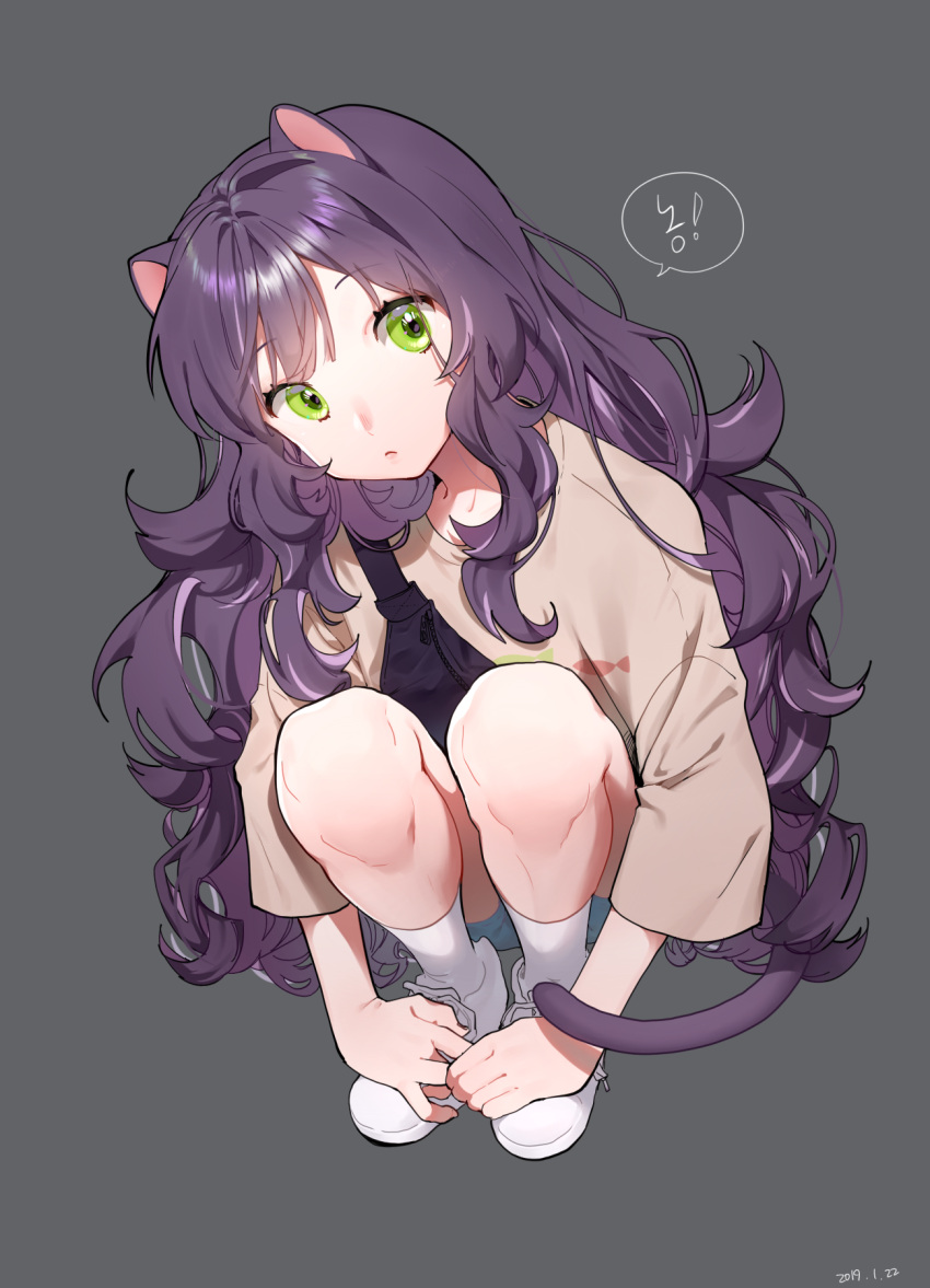 1girl animal_ears casual cat_ears cat_tail commentary_request full_body green_eyes grey_background highres korean_commentary korean_text long_hair original purple_hair rubyaano_(ducl323) simple_background squatting tail translation_request very_long_hair