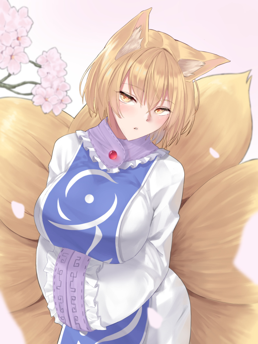 1girl animal_ear_fluff animal_ears blonde_hair blush branch breasts cherry_blossoms commentary cowboy_shot doitsuudon dress eyebrows_visible_through_hair fox_ears fox_tail hair_between_eyes hands_in_opposite_sleeves highres large_breasts looking_at_viewer multiple_tails no_hat no_headwear parted_lips petals pink_background short_hair simple_background solo tabard tail touhou white_dress wide_sleeves yakumo_ran yellow_eyes