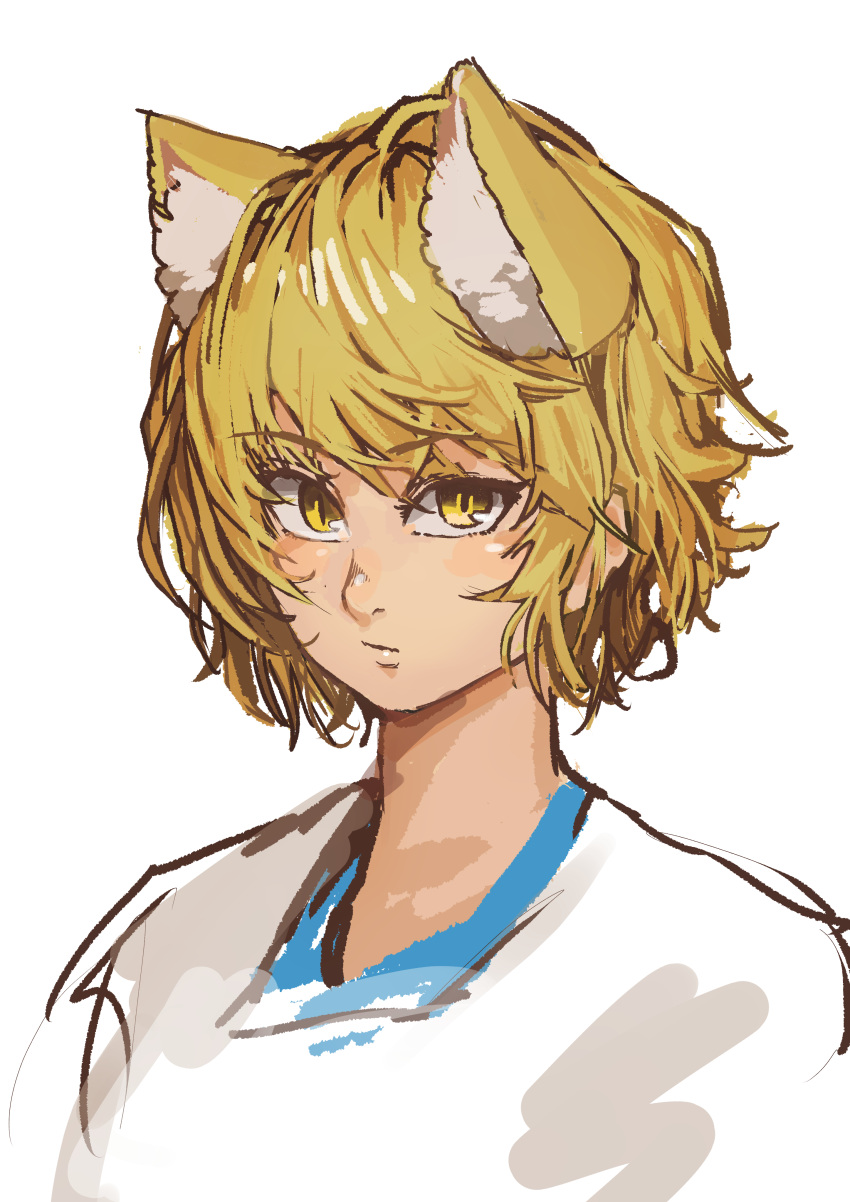 1girl absurdres animal_ear_fluff animal_ears blonde_hair blush chanta_(ayatakaoisii) closed_mouth fox_ears highres looking_at_viewer messy_hair portrait simple_background slit_pupils solo touhou white_background yakumo_ran yellow_eyes