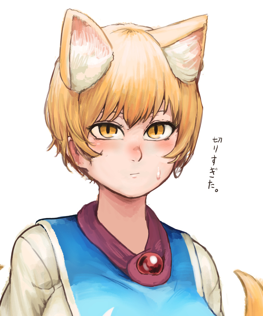 1girl absurdres alternate_hair_length alternate_hairstyle animal_ear_fluff animal_ears blush brooch chanta_(ayatakaoisii) fox_ears fox_tail highres jewelry looking_at_viewer nose_blush portrait shirt short_hair simple_background slit_pupils solo sweatdrop tabard tail touhou upper_body white_background white_shirt yakumo_ran yellow_eyes