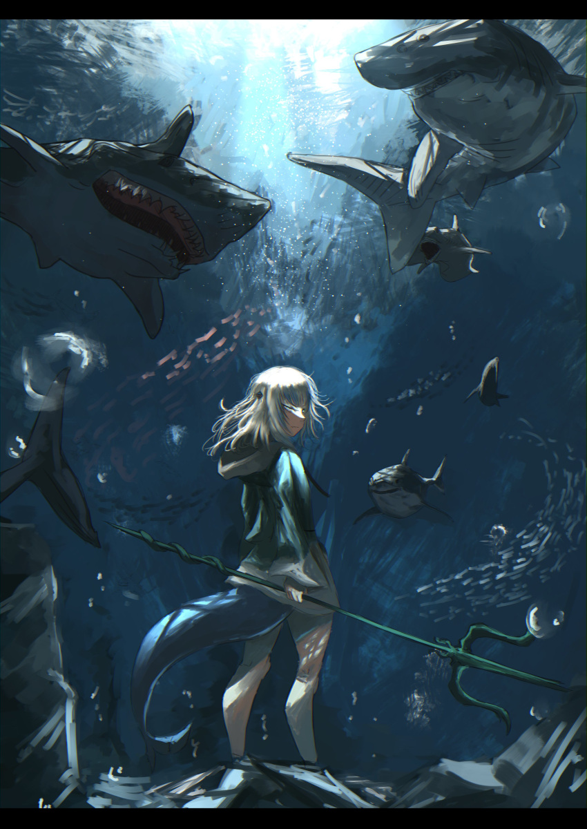 1girl absurdres air_bubble bubble caustics cowboy_shot dappled_sunlight day fish_tail gawr_gura hammerhead_shark hasewo0706 highres holding holding_polearm holding_weapon hololive hololive_english hood hoodie long_hair looking_back multicolored_hair polearm rock school_of_fish shaded_face shark shark_tail shorts solo streaked_hair sunlight tail trident underwater weapon white_background