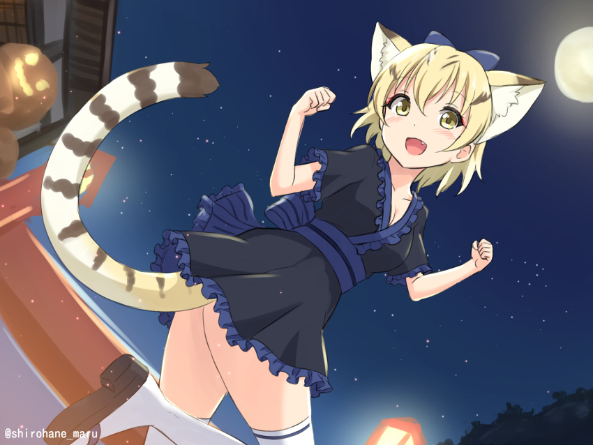 1girl :d absurdres alternate_costume animal_ear_fluff animal_ears bangs black_dress blonde_hair blue_bow blush bow cat_ears cat_girl cat_tail clenched_hands dress dutch_angle extra_ears fang frilled_dress frills full_moon hair_between_eyes hair_bow highres kemono_friends looking_at_viewer moon night open_mouth outdoors sand_cat_(kemono_friends) sandals sash shiraha_maru short_hair short_sleeves sky smile solo standing standing_on_one_leg star_(sky) starry_sky tail thigh-highs twitter_username white_legwear yellow_eyes