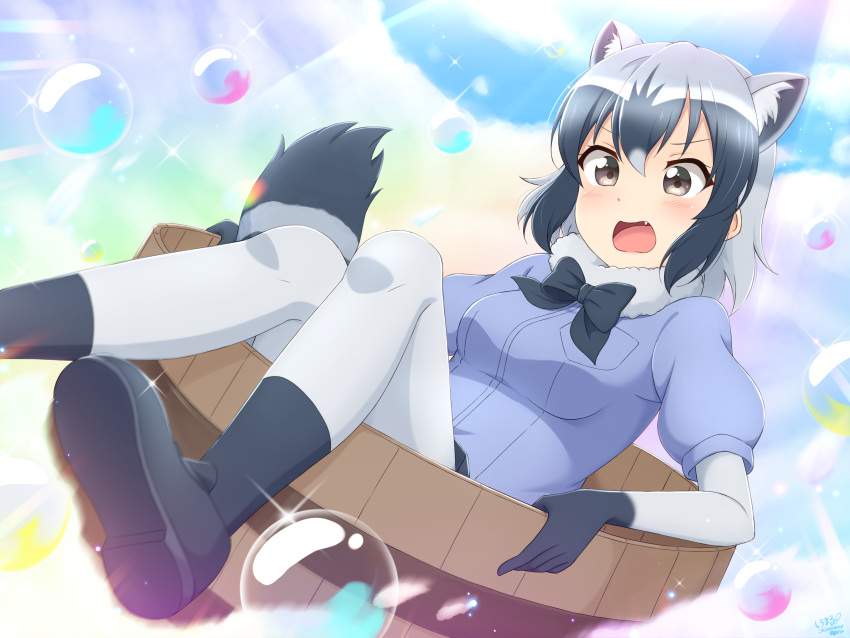 1girl :o absurdres animal_ear_fluff animal_ears bangs basin black_footwear black_hair blue_shirt breasts brown_eyes commentary common_raccoon_(kemono_friends) elbow_gloves extra_ears fang fur_collar gloves grey_hair highres in_container kemono_friends looking_at_viewer medium_breasts multicolored_hair pantyhose puffy_short_sleeves puffy_sleeves raccoon_ears raccoon_tail shiraha_maru shirt shoes short_sleeves sitting soap_bubbles solo striped_tail tail white_hair white_legwear