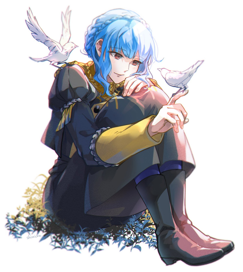 1girl animal animal_on_shoulder bird bird_on_hand bird_on_shoulder black_footwear blue_hair blush boots braid brown_hair buttons cbe39373 crown_braid epaulettes eyebrows_visible_through_hair fire_emblem fire_emblem:_three_houses garreg_mach_monastery_uniform grass hair_between_eyes highres juliet_sleeves long_sleeves looking_at_another marianne_von_edmund parted_lips plant puffy_sleeves short_hair short_hair_with_long_locks signature simple_background sitting smile solo uniform white_background