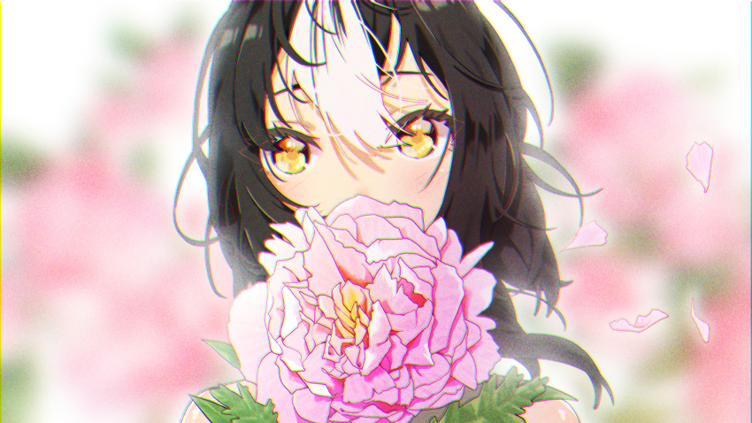 1girl agnamore bangs bare_shoulders black_hair blurry blurry_background blush commentary covered_mouth depth_of_field english_commentary eyebrows_behind_hair flower hair_between_eyes highres long_hair multicolored_hair original petals pink_flower portrait solo two-tone_hair white_hair yellow_eyes
