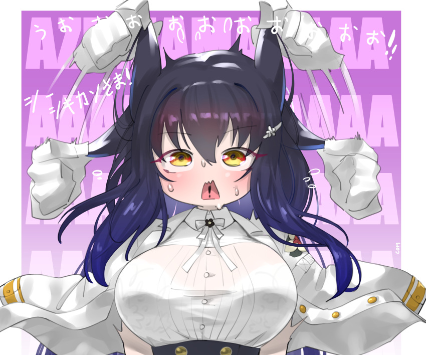 1girl absurdres animal_ears azuma_(azur_lane) azur_lane blue_hair bra bra_through_clothes breasts disembodied_limb eyebrows_visible_through_hair gloves hair_between_eyes highres jacket jacket_on_shoulders large_breasts long_hair open_clothes open_jacket open_mouth purple_background shirt solo sweat translation_request underwear upper_body uzda_ricecake white_bra white_gloves white_jacket white_shirt yellow_eyes