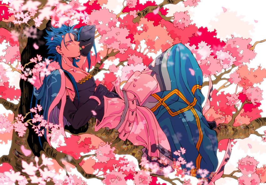 1boy belt blue_hair book bracelet capelet charatei cherry_blossoms cu_chulainn_(fate)_(all) cu_chulainn_(fate/grand_order) dango earrings eating elbow_gloves fate/grand_order fate_(series) food food_in_mouth from_side full_body fur-trimmed_hood fur_trim gloves harem_pants highres hood hood_down hooded_capelet in_tree jewelry long_hair looking_at_viewer lying male_focus muscle on_back pants petals red_eyes sanshoku_dango solo spiky_hair tank_top toeless_legwear tree type-moon wagashi