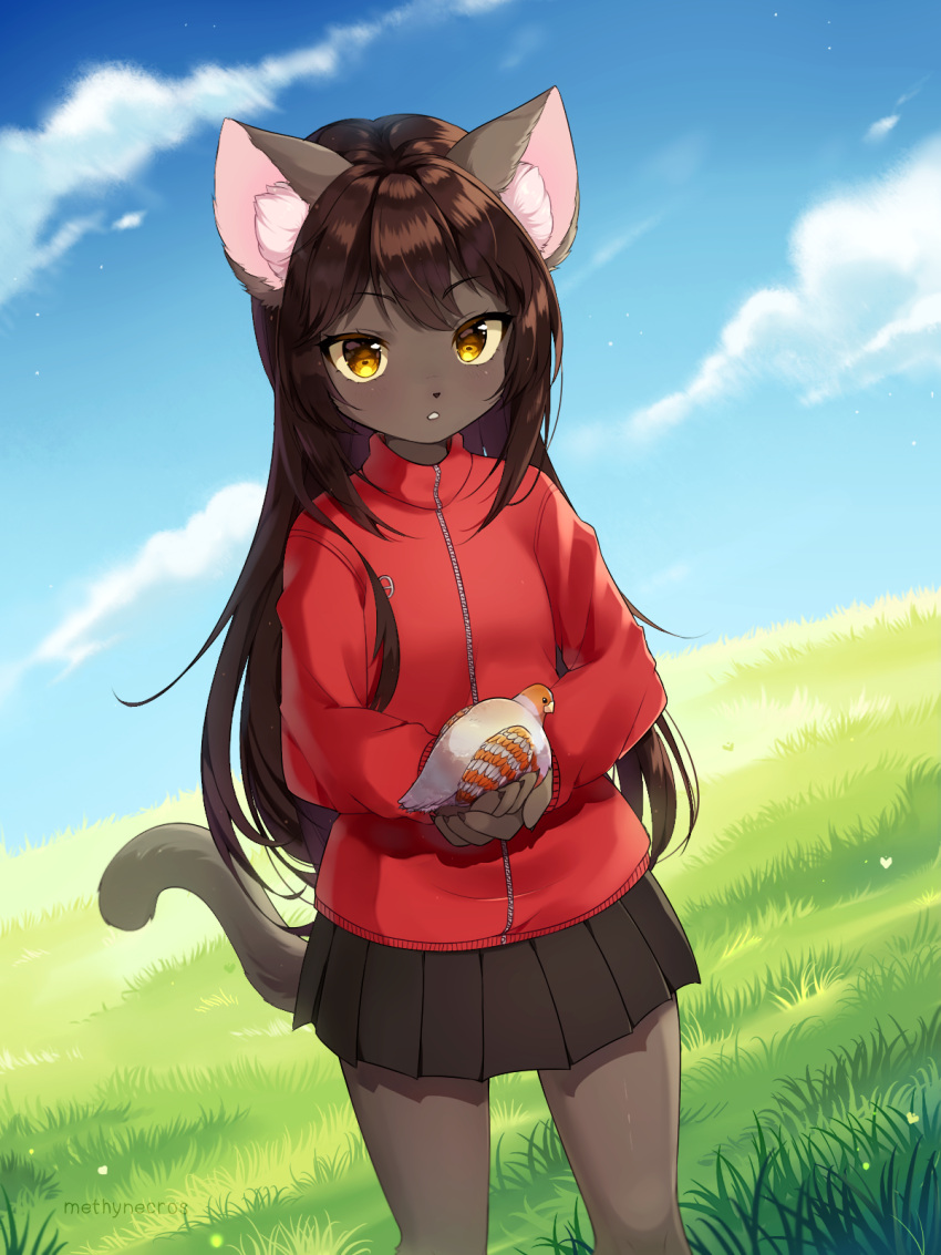 1girl animal_ear_fluff animal_ears artist_name bangs bird black_hair black_skirt blue_sky blush brown_eyes brown_hair cat_ears cat_girl cat_tail claws clouds commentary day dutch_angle english_commentary eyebrows_visible_through_hair fita_(methynecros) flat_chest furry grass hands_together hands_up highres holding jacket light_blush long_hair long_sleeves looking_at_viewer methynecros miniskirt original outdoors parted_lips pleated_skirt red_jacket shiny shiny_hair sidelocks signature skirt sky solo standing tail teeth thighs yellow_eyes zipper