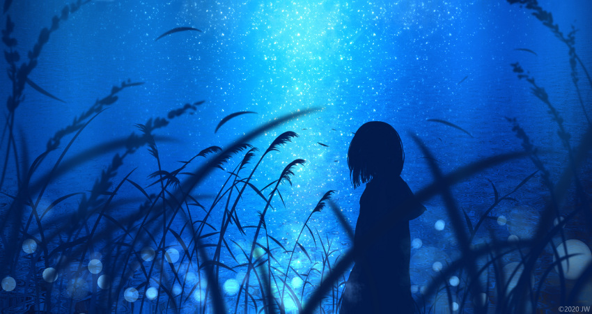 1girl absurdres blue_theme blurry bob_cut bokeh dark depth_of_field grass highres hood hoodie horizon light_particles looking_afar looking_to_the_side moonlight night night_sky original reflection scenery short_hair signature silhouette sky skyrick9413 solo star_(sky) starry_sky water