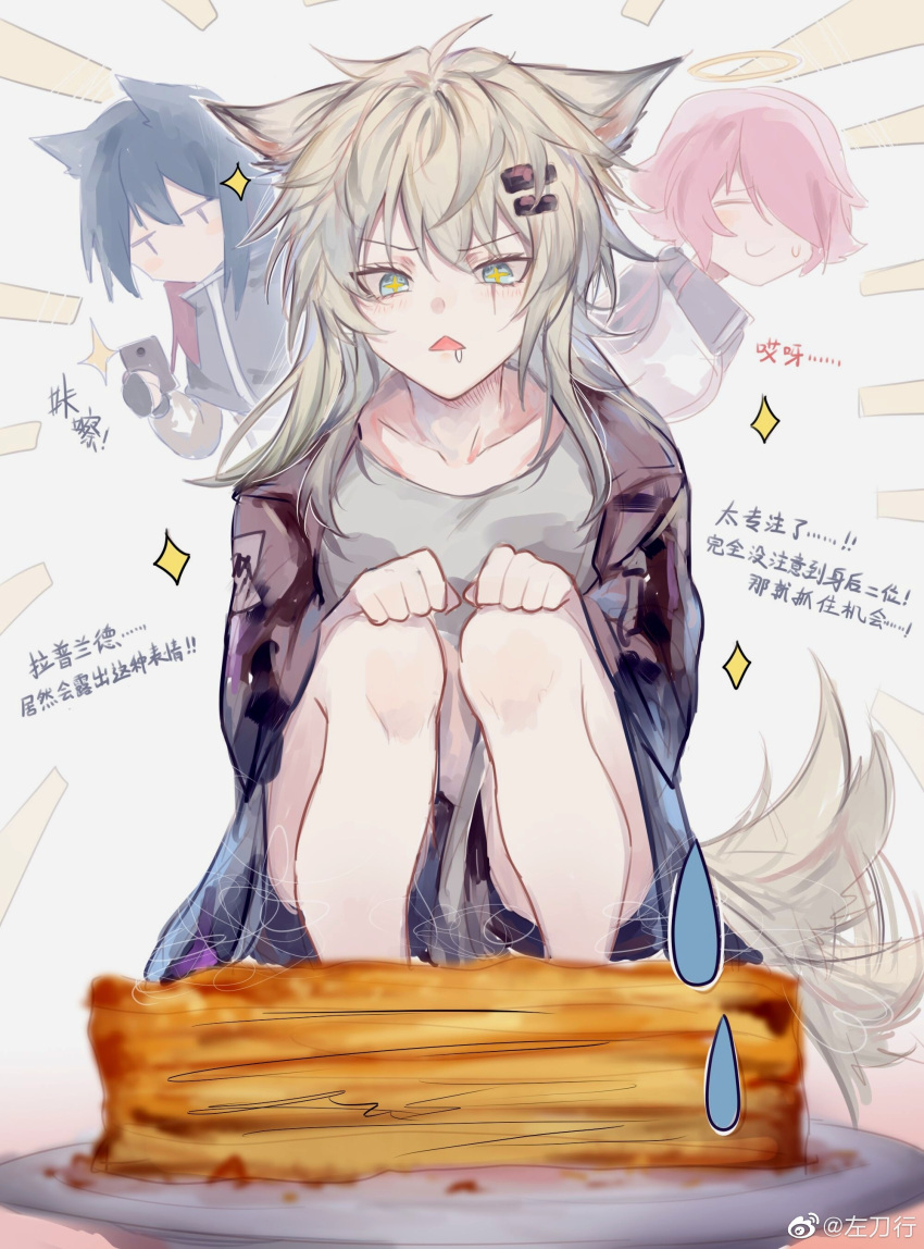 +_+ 3girls absurdres ahoge animal_ears arknights baklava black_hair black_jacket blue_eyes cake chinese_commentary chinese_text collarbone drooling emphasis_lines exusiai_(arknights) eyebrows_visible_through_hair food grey_shirt hair_between_eyes hair_ornament halo highres holding holding_phone jacket lappland_(arknights) messy_hair multiple_girls phone redhead shirt sparkle sparkling_eyes squatting sweatdrop tail tail_wagging texas_(arknights) weibo_username white_background white_hair wolf_ears zuo_daoxing