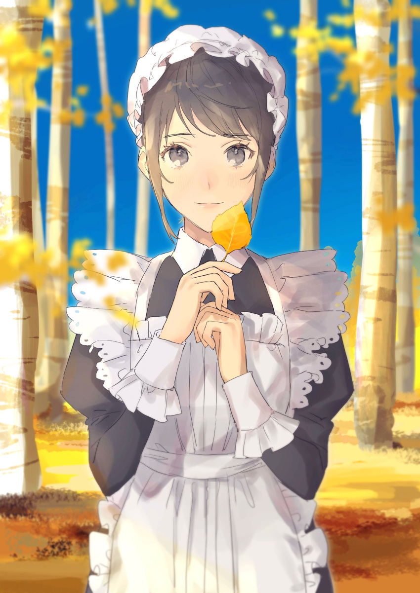 1girl apron autumn_leaves black_dress blue_sky closed_mouth dress forest grey_eyes grey_hair highres holding holding_leaf juliet_sleeves leaf light_blush long_sleeves looking_at_viewer maid maid_apron maid_headdress nature original puffy_sleeves sankomichi sky smile solo standing tree white_apron