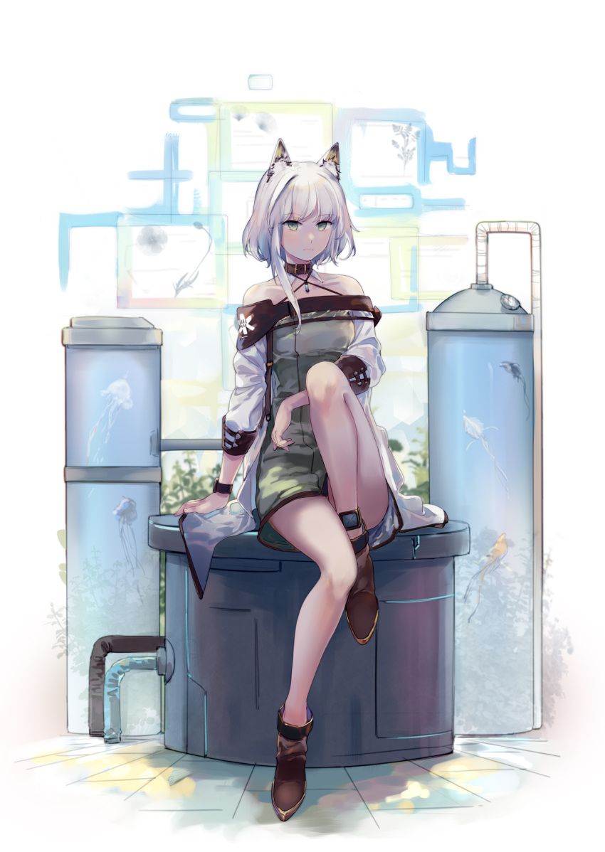 1girl animal_ears arknights arm_support bangs bare_legs bare_shoulders black_choker boots brown_footwear choker commentary_request dress eyebrows_visible_through_hair green_eyes grey_dress highres kal'tsit_(arknights) knee_up long_sleeves looking_at_viewer lynx_ears off-shoulder_dress off_shoulder short_hair silver_hair sitting solo yorktown_cv-5