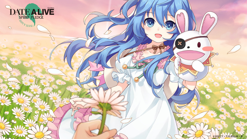 1girl 2019 :d bangs blue_eyes blue_hair blurry_foreground blush brown_ribbon collarbone copyright_name date_a_live dress eyebrows_visible_through_hair floating_hair flower hair_between_eyes highres holding holding_flower long_hair looking_at_viewer official_art open_mouth petals pov ribbon shiny shiny_hair short_sleeves smile standing very_long_hair white_dress yoshino_(date_a_live) yoshinon