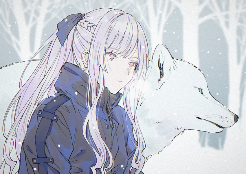 1girl ak-12_(girls_frontline) animal_ears artificial_eye bangs black_ribbon blue_jacket braid commentary_request crown_braid dm_owr eyebrows_visible_through_hair forest girls_frontline grey_sky hair_ribbon highres jacket long_hair mechanical_eye nature nose outdoors parted_lips pink_eyes ponytail ribbon sidelocks silver_hair snow snowing whiskers white_wolf wolf wolf_ears