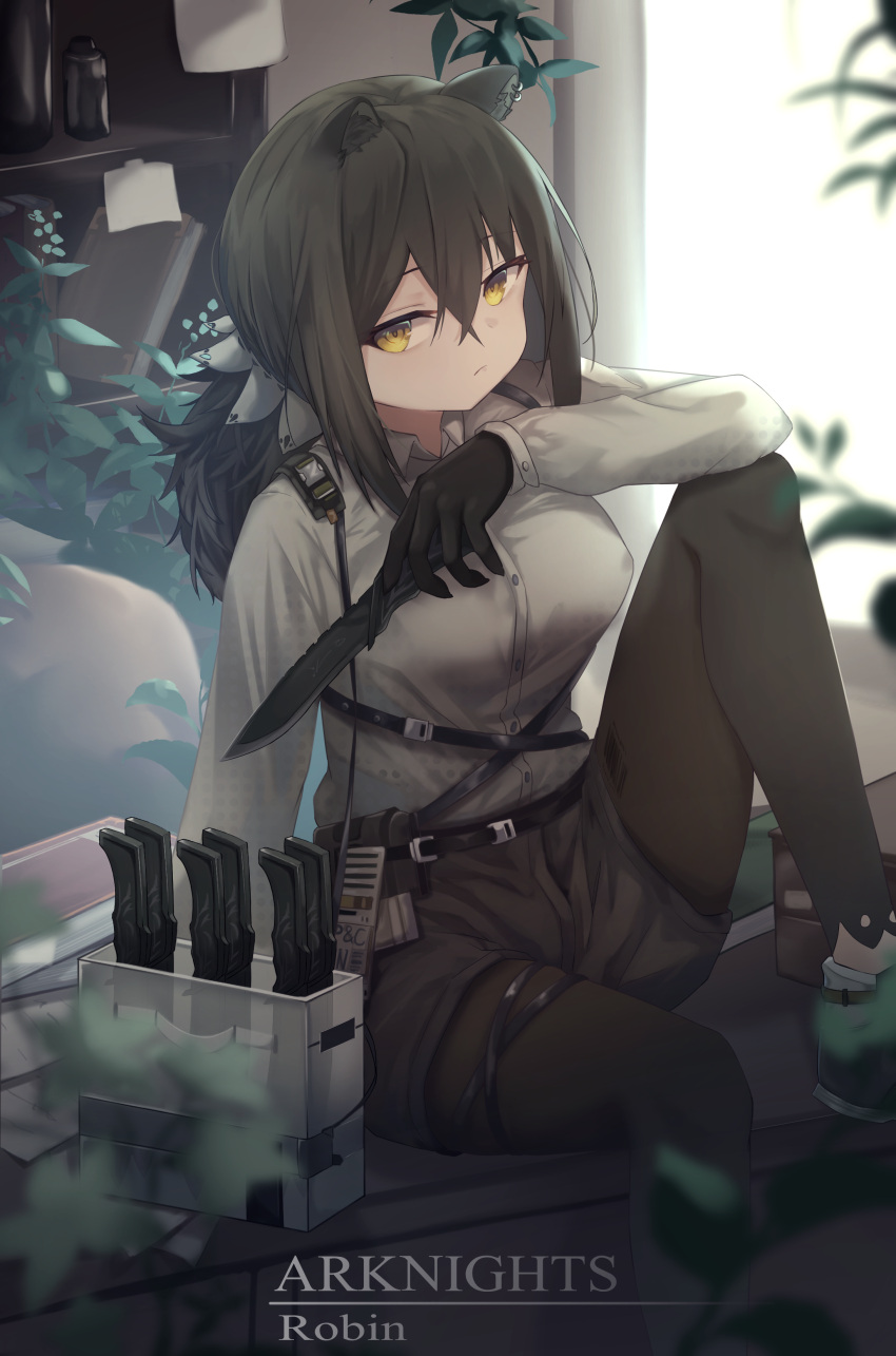 1girl absurdres animal_ears aoinu_(aoinu_99) arknights arm_on_knee arm_support black_gloves black_hair black_legwear black_shorts blurry book character_name chinese_commentary copyright_name depth_of_field ear_piercing feet_out_of_frame gloves hair_between_eyes highres holding holding_knife holding_weapon knee_up knife lamp legwear_under_shorts looking_at_viewer low_ponytail pantyhose piercing plant ponytail raccoon_ears robin_(arknights) shirt shorts sitting solo thigh_strap tied_hair weapon white_shirt window yellow_eyes