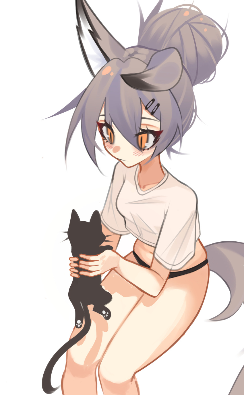 1girl absurdres animal animal_ears black_panties breasts cat collarbone cropped_shirt finger_to_nose ghost_(tama) hair_between_eyes hair_bun highres holding holding_animal looking_down midriff navel original panties shirt small_breasts solo tail underwear white_background white_shirt wolf_ears wolf_girl wolf_tail yellow_eyes