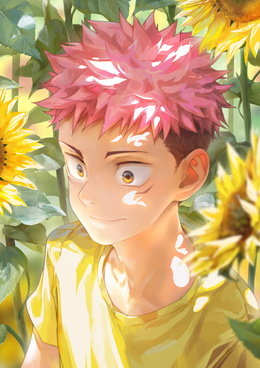 1boy beitemian brown_eyes brown_hair close-up facial_mark floral_background flower highres itadori_yuuji jujutsu_kaisen light_smile looking_to_the_side male_focus pink_hair shadow short_hair smile solo spiky_hair sunflower sunlight undercut upper_body younger