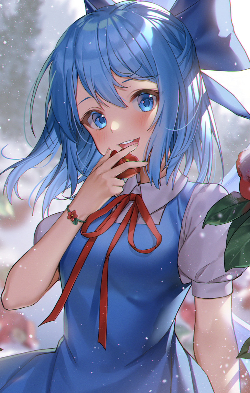 1girl arm_up blue_dress blue_eyes blue_hair blurry blurry_background breasts cirno day dress flower hair_between_eyes hair_ribbon head_tilt highres holding holding_flower leaf light_blush looking_at_viewer milcona open_mouth outdoors overcast pinafore_dress puffy_short_sleeves puffy_sleeves red_flower red_neckwear red_ribbon ribbon shirt short_hair short_sleeves small_breasts snow solo standing touhou tree upper_body upper_teeth white_shirt wings wristband