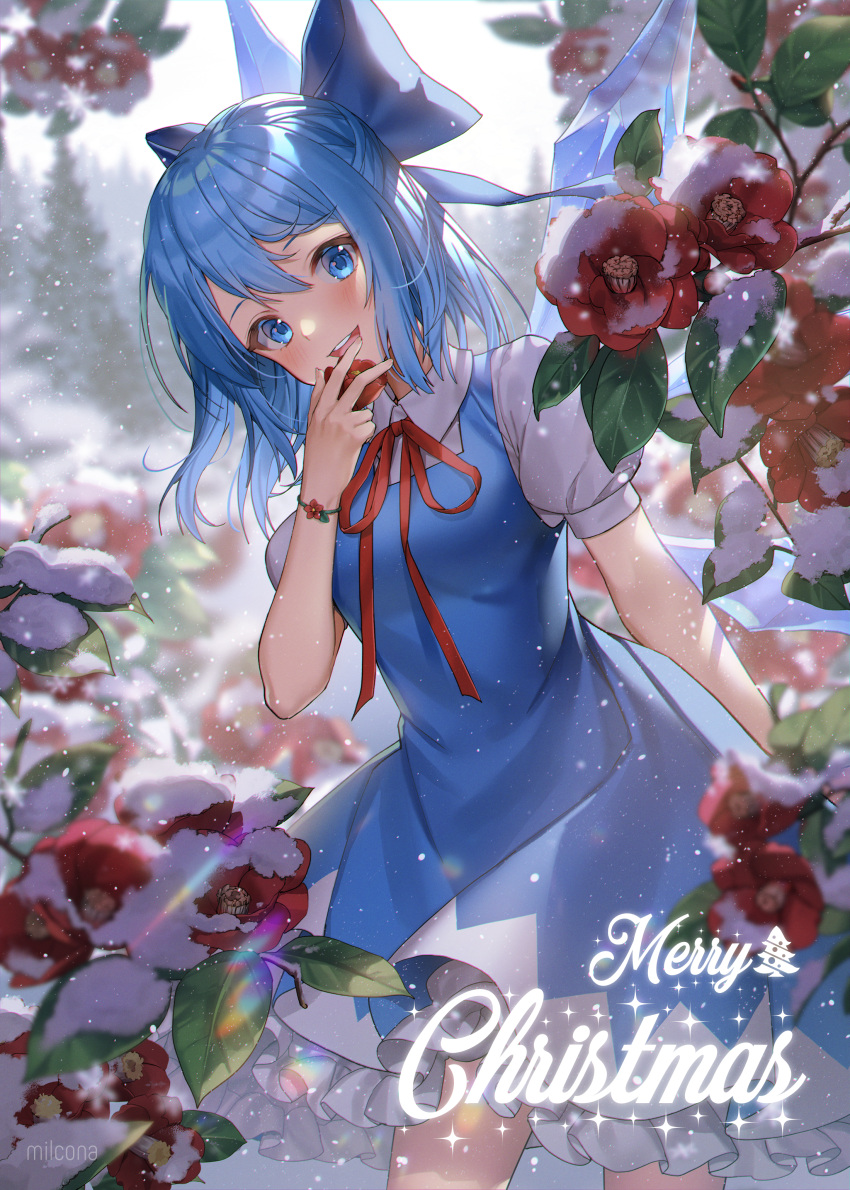 1girl absurdres arm_behind_back arm_up artist_name blue_dress blue_eyes blue_hair blurry blurry_background breasts cirno commentary cowboy_shot day dress english_text flower hair_between_eyes hair_ribbon highres holding holding_flower leaf leaning_to_the_side light_blush looking_at_viewer merry_christmas milcona open_mouth outdoors overcast petticoat pinafore_dress puffy_short_sleeves puffy_sleeves red_flower red_neckwear red_ribbon ribbon shirt short_hair short_sleeves small_breasts snow snowing solo standing touhou tree tree_branch upper_teeth white_shirt wings wristband