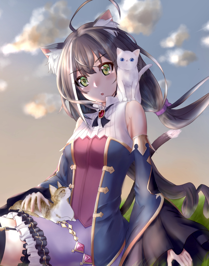 1girl :o absurdres ahoge animal_ear_fluff animal_ears bangs black_hair black_ribbon blue_eyes blurry blurry_background breasts cat cat_ears cat_girl cat_tail clouds cloudy_sky commentary_request detached_sleeves drill_hair evening eyebrows_visible_through_hair frills gem grass hair_ribbon highres jacket karyl_(princess_connect!) long_hair long_sleeves looking_at_viewer medium_breasts miyama_mizuki(hoshihoshi1220) multicolored_hair neck_ribbon open_mouth outdoors princess_connect! princess_connect!_re:dive purple_ribbon purple_skirt ribbon shirt sidelocks sitting skirt sky sleeveless sleeveless_shirt streaked_hair tail twintails vest white_cat white_hair white_shirt wide_sleeves