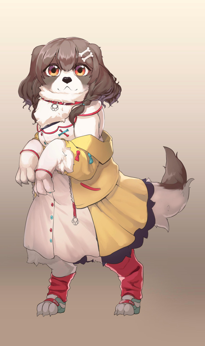 1girl absurdres animal_collar animal_feet animal_nose animalization artist_request bangs bone_hair_ornament braid brown_hair buttons collar dog dog_girl dog_tail dress fur gradient gradient_background hair_between_eyes hair_ornament highres hololive hololive_gamers inugami_korone jacket leg_warmers looking_at_viewer off_shoulder paw_pose paws pocket red_collar shoes solo source_request standing tail twin_braids virtual_youtuber yellow_jacket zipper