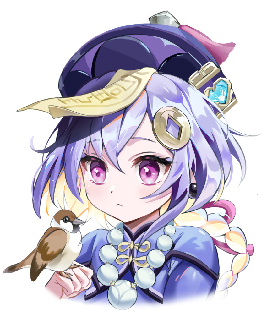 1girl bangs bead_necklace beads bird bird_request blush braid coin coin_hair_ornament genshin_impact hair_between_eyes hat highres holding iloveikuya jewelry long_sleeves necklace purple_hair purple_headwear qing_guanmao qiqi solo talisman violet_eyes white_background wide_sleeves