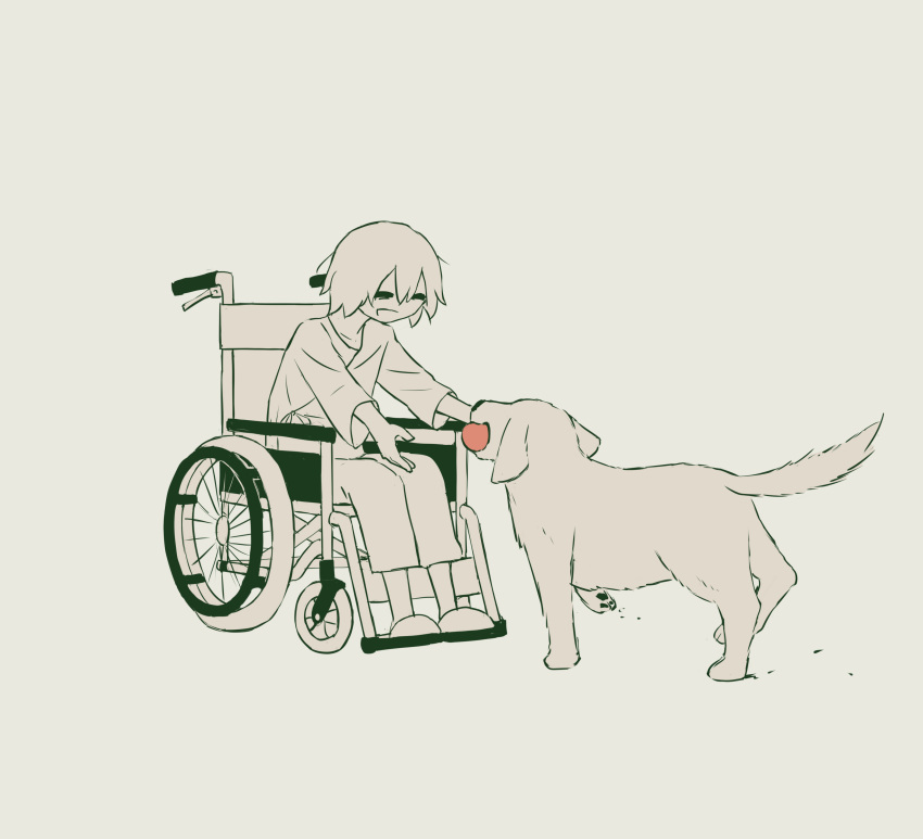 :d =_= absurdres avogado6 ball dog highres holding holding_ball hospital_gown long_sleeves open_mouth original simple_background slippers smile spot_color wheelchair
