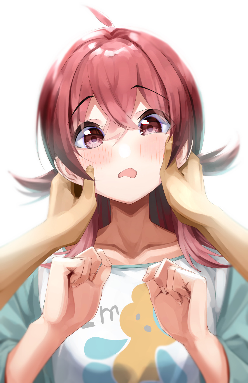 1girl absurdres ahoge animal_print bear_print blush commentary_request hands_on_another's_cheeks hands_on_another's_face highres idolmaster idolmaster_shiny_colors komiya_kaho long_hair long_sleeves looking_at_viewer pov pov_hands print_shirt red_eyes redhead shirt solo_focus tera2001 upper_body white_background