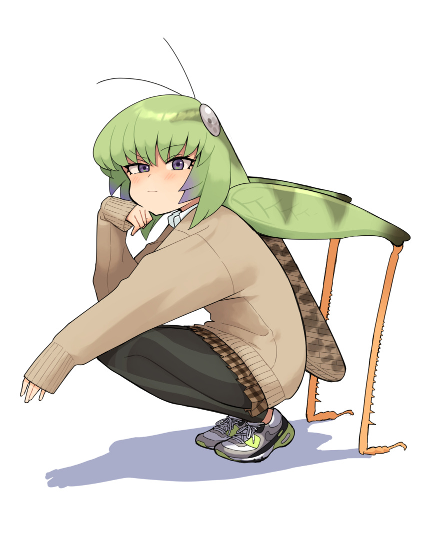 1girl antennae bug cardigan evolvingmonkey extra_legs eyebrows_visible_through_hair grasshopper grasshopper_inoue green_hair highres insect insect_girl leggings looking_at_viewer original shoes sleeves_past_wrists sneakers solo squatting white_background