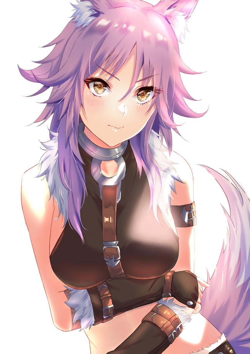1girl absurdres animal_ear_fluff animal_ears arm_strap arm_under_breasts blush breasts closed_mouth collar collarbone eyebrows_visible_through_hair fur-trimmed_shorts fur_trim highres large_breasts looking_at_viewer makoto_(princess_connect!) metal_collar midriff princess_connect! princess_connect!_re:dive purple_hair shorts shunse simple_background solo tail white_background wolf_ears wolf_girl wolf_tail yellow_eyes