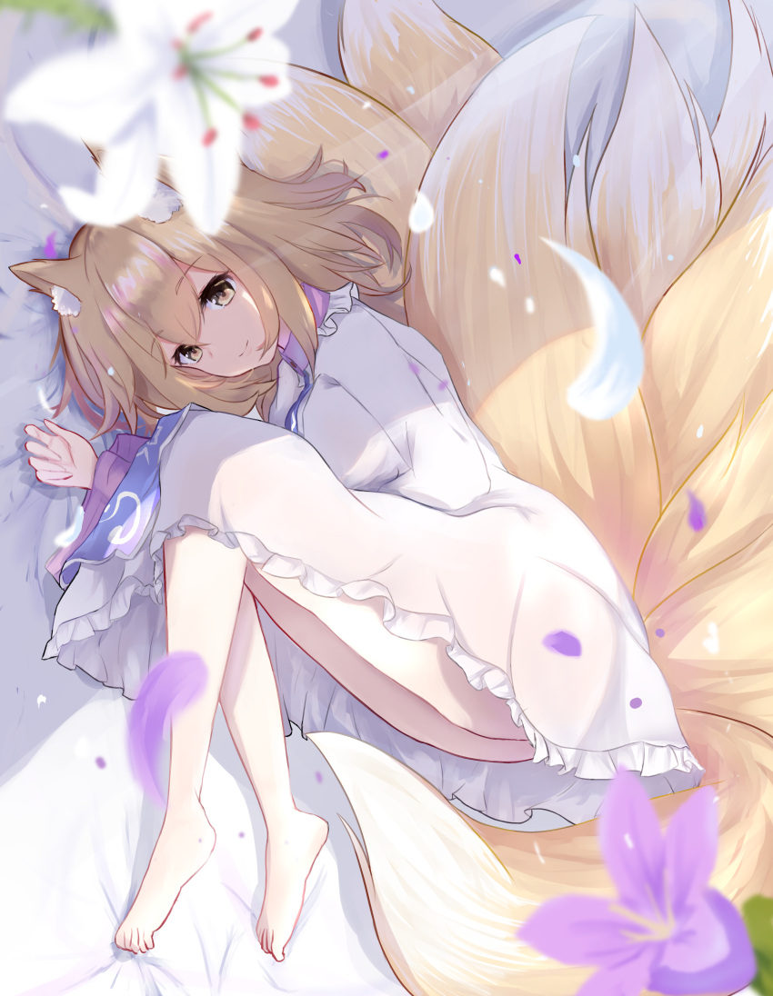 1girl absurdres animal_ears bare_legs barefoot blonde_hair breasts commentary_request dress flower fox_ears fox_girl fox_tail frilled_dress frills full_body highres kitsune knees_on_chest knees_up legs legs_folded long_hair long_sleeves looking_at_viewer lying medium_breasts medium_hair multiple_tails niko_kusa no_headwear on_side petals smile solo tabard tail thighs touhou upskirt white_dress yakumo_ran yellow_eyes