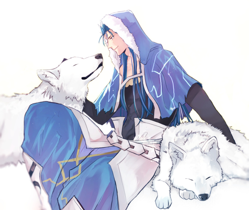 1boy animal belt blue_hair capelet closed_mouth cu_chulainn_(fate)_(all) cu_chulainn_(fate/grand_order) fate/grand_order fate_(series) fur-trimmed_hood fur_trim hood hood_up hooded_capelet long_hair male_focus red_eyes sabo_ch simple_background type-moon white_wolf wolf