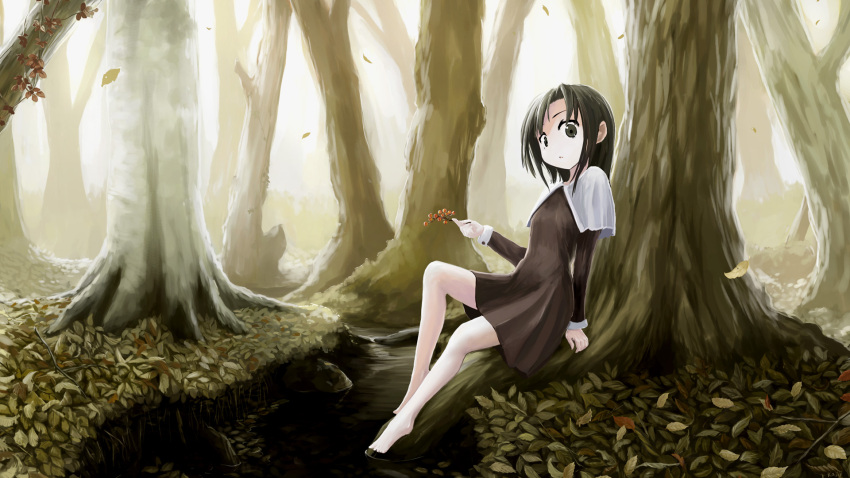 1girl autumn barefoot black_eyes black_hair brown_dress capelet commentary_request day dress falling_leaves forest full_body highres holding kajiji leaf looking_at_viewer medium_hair nature original outdoors parted_lips river scenery short_dress sitting solo tree white_capelet