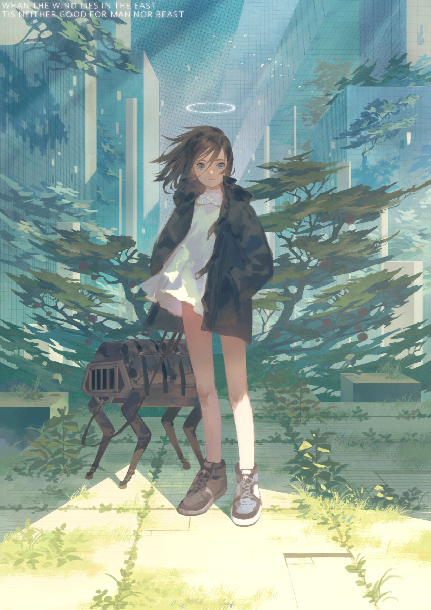 1girl absurdres artist_name bare_legs bigdog black_jacket blue_eyes dress expressionless grass halo hands_in_pockets highres jacket leash maeya_susumu original plant robot shoes solo tree walker white_dress wide_shot