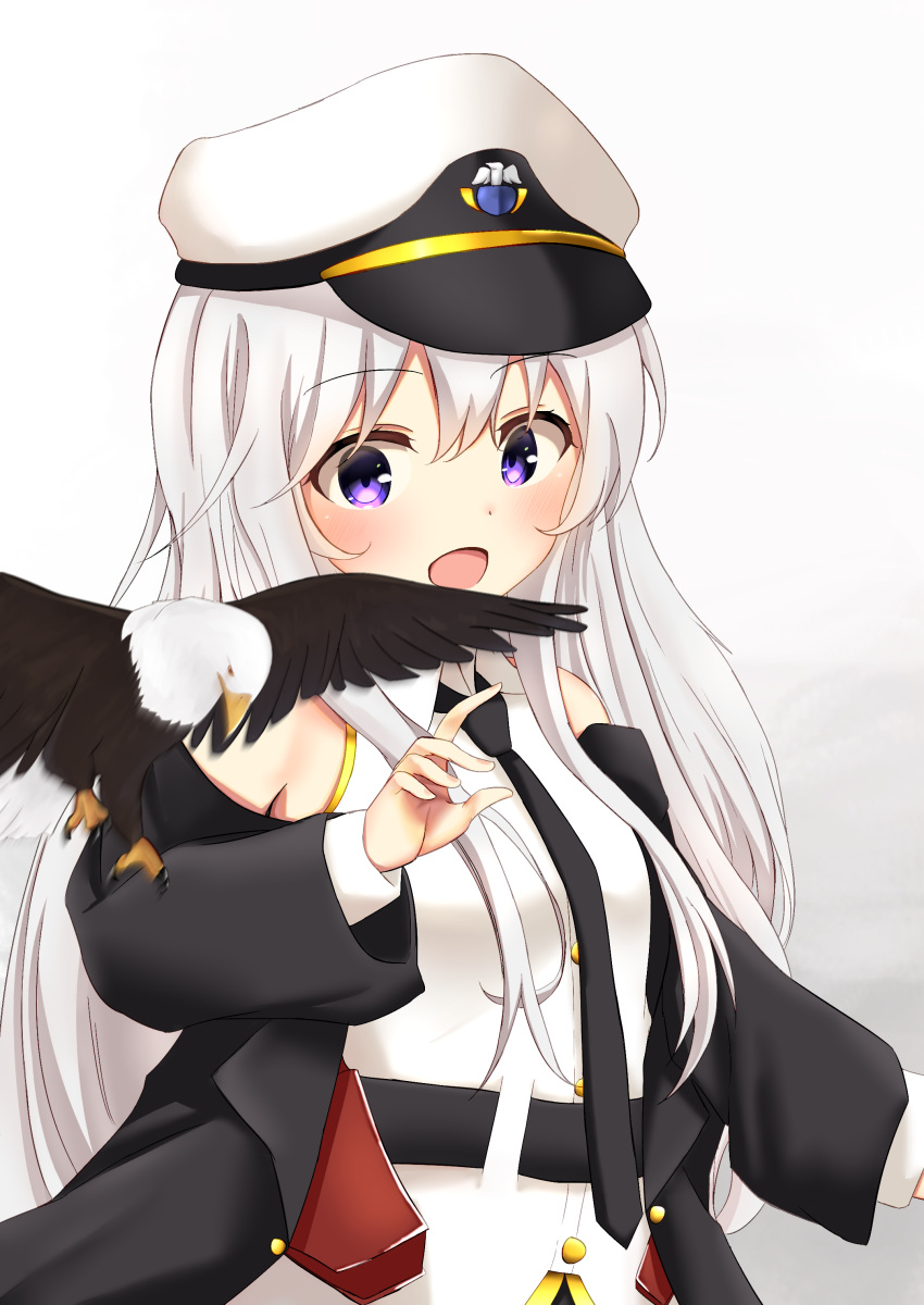 1girl absurdres azur_lane bald_eagle bangs belt bird coat commentary_request eagle enterprise_(azur_lane) eyebrows_visible_through_hair eyes_visible_through_hair gradient gradient_background hat head_tilt highres long_hair looking_at_another peaked_cap sachisudesu shirt sidelocks simple_background violet_eyes white_hair white_shirt